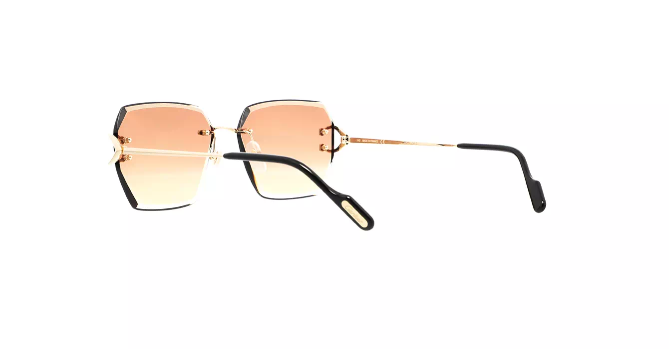Cartier CT0466S 004 s58