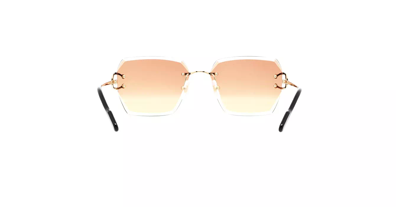 Cartier CT0466S 004 s58