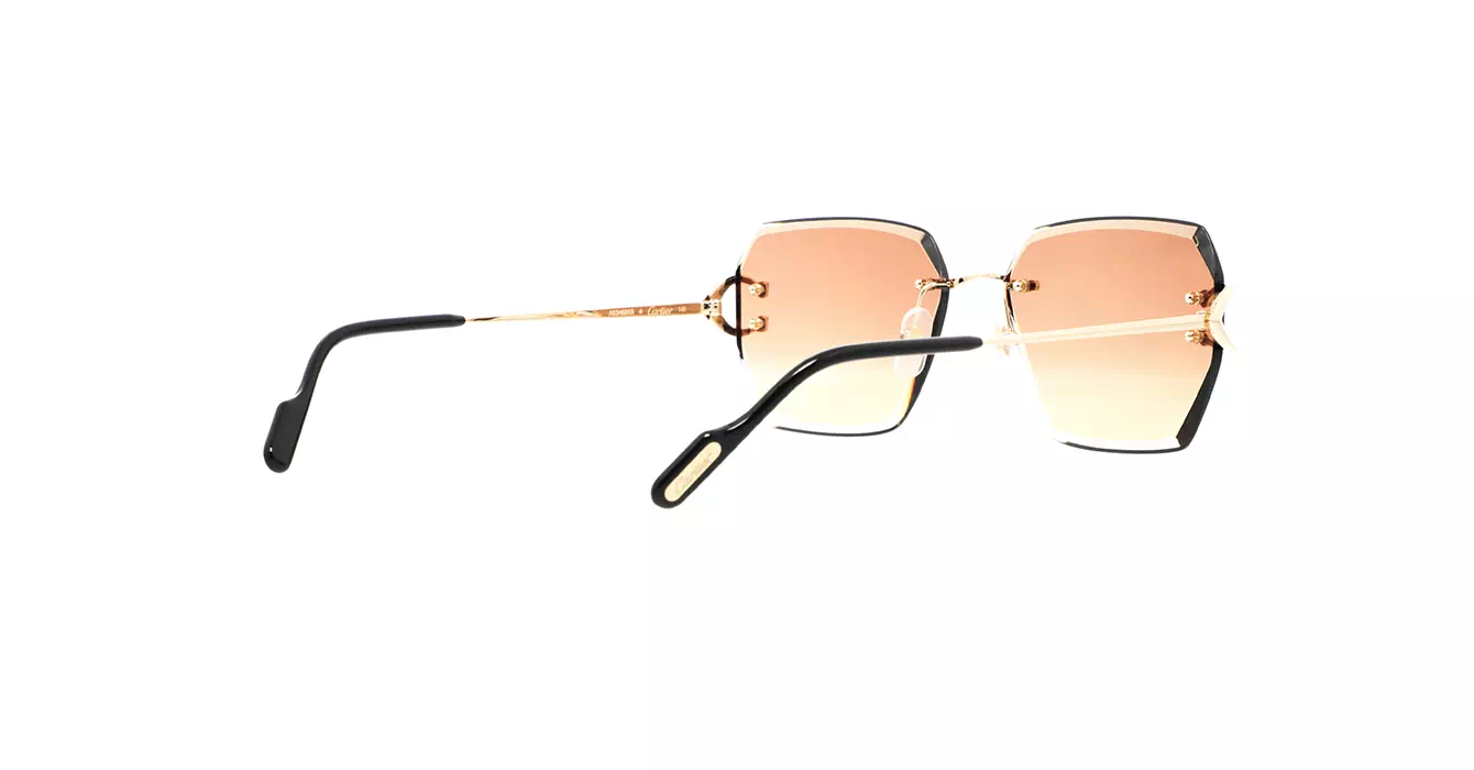 Cartier CT0466S 004 s58