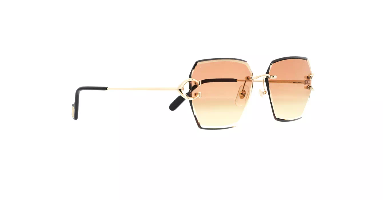 Cartier CT0466S 004 s58