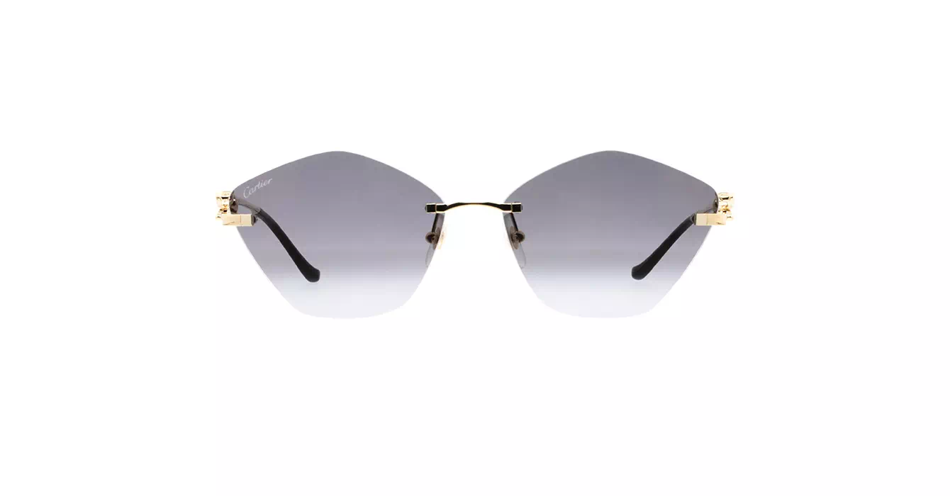 Cartier CT0429S 001 s61