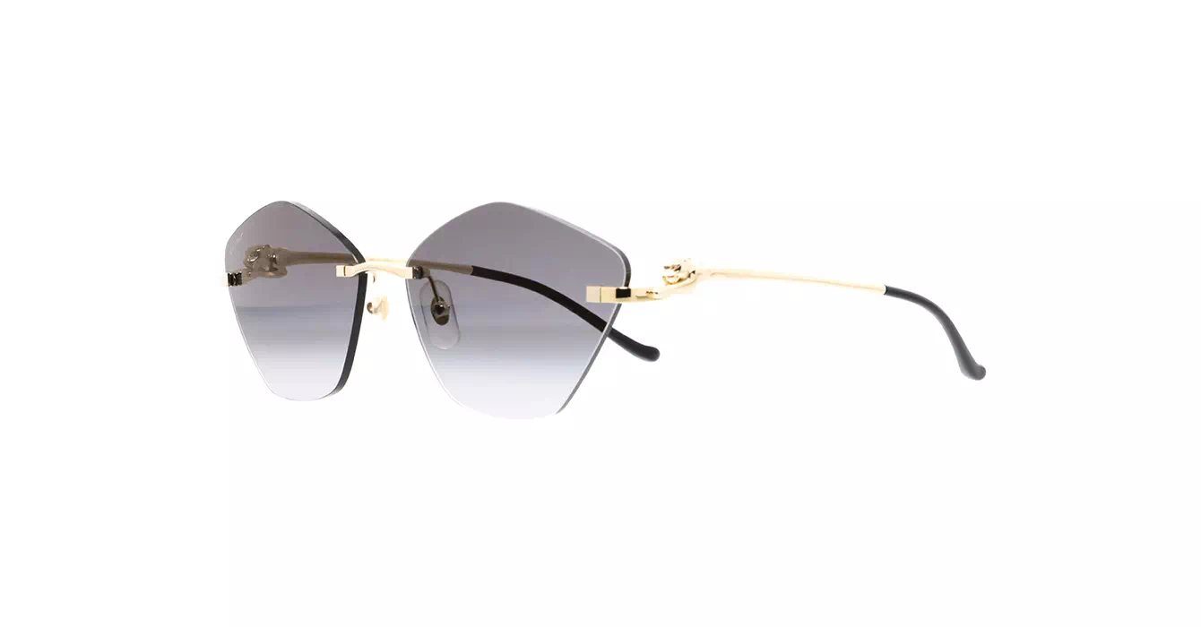 Cartier CT0429S 001 s61