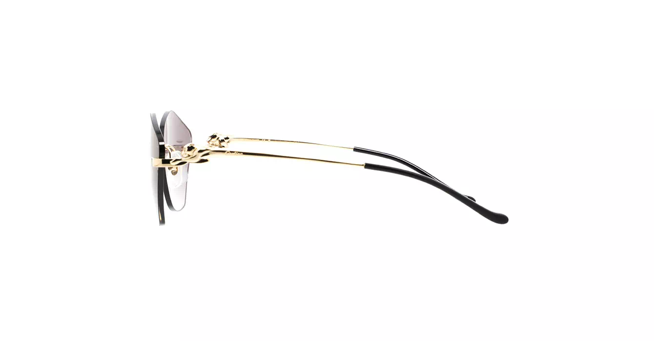 Cartier CT0429S 001 s61