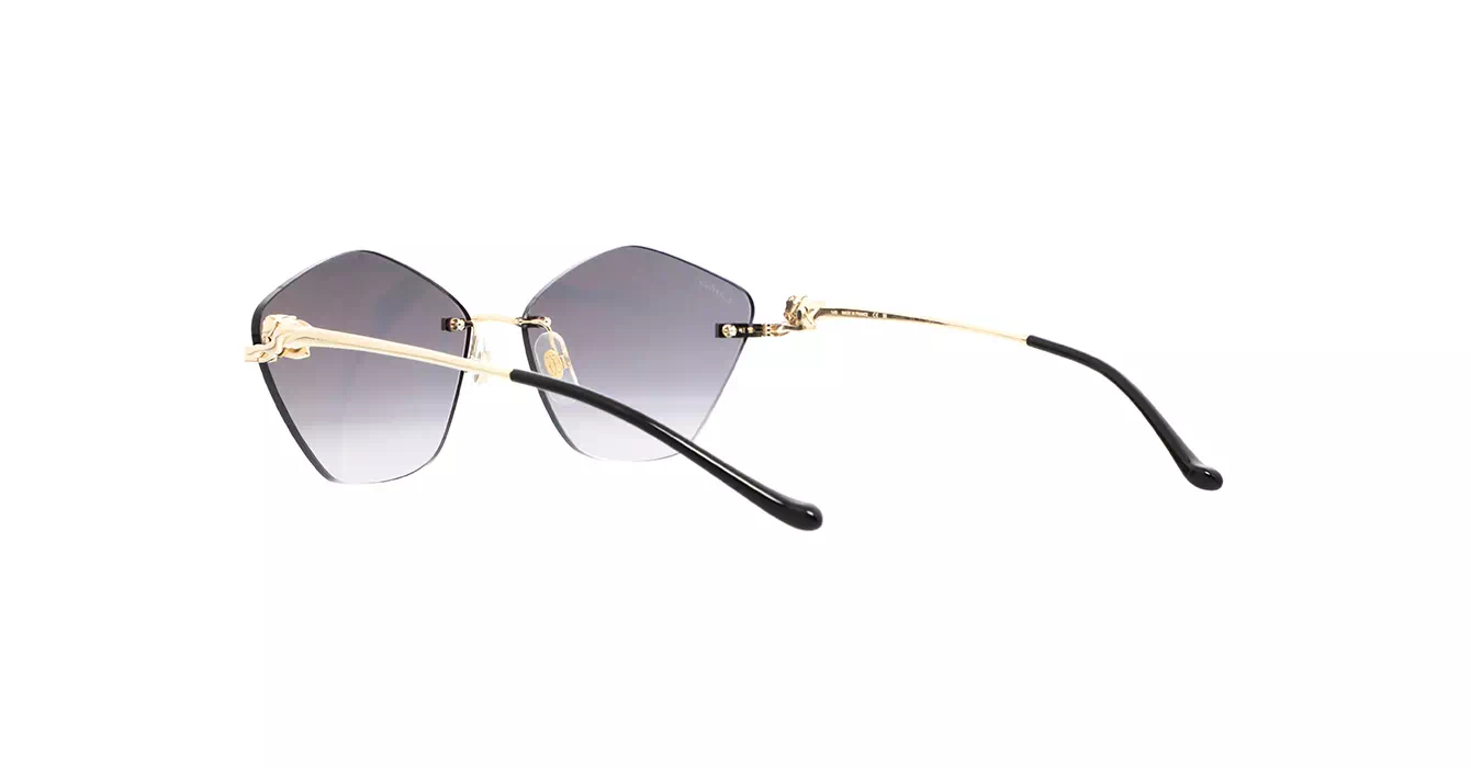 Cartier CT0429S 001 s61