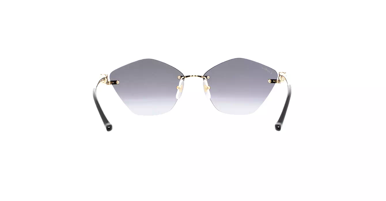 Cartier CT0429S 001 s61
