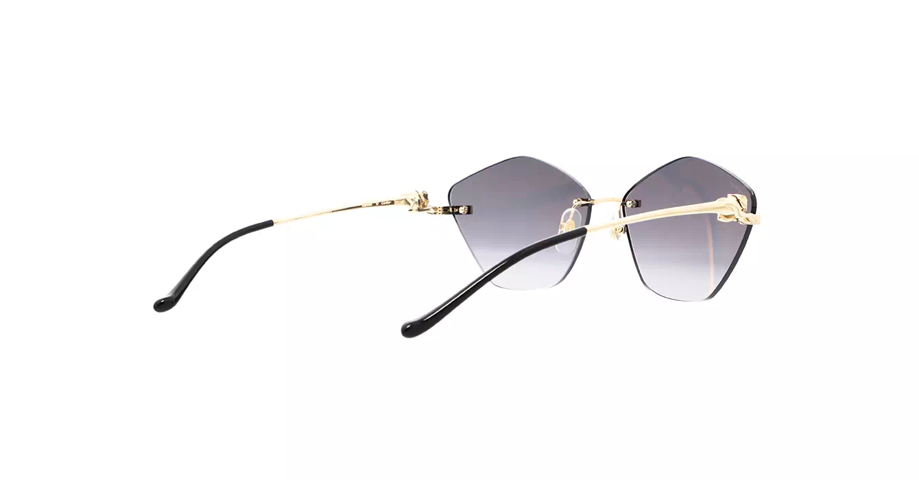Cartier CT0429S 001 s61