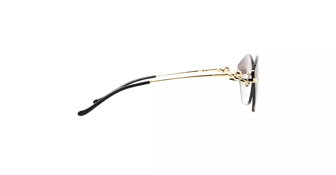 Cartier CT0429S 001 s61