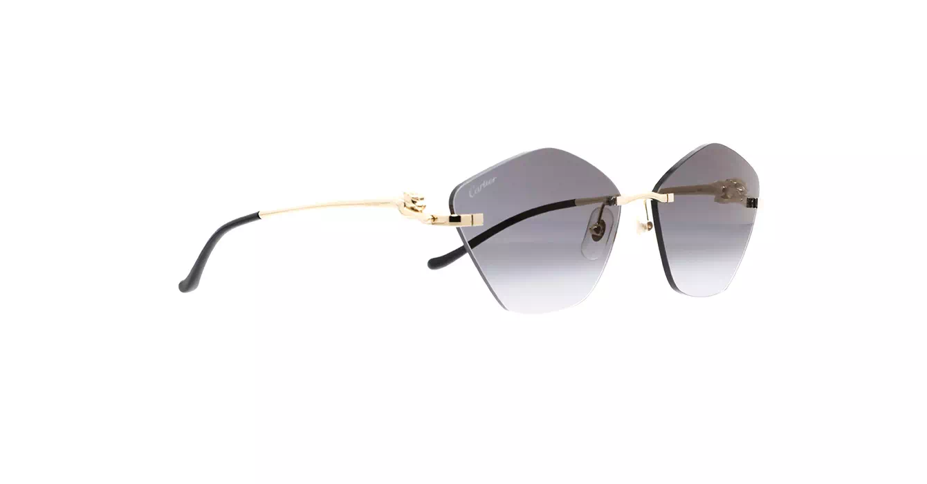 Cartier CT0429S 001 s61
