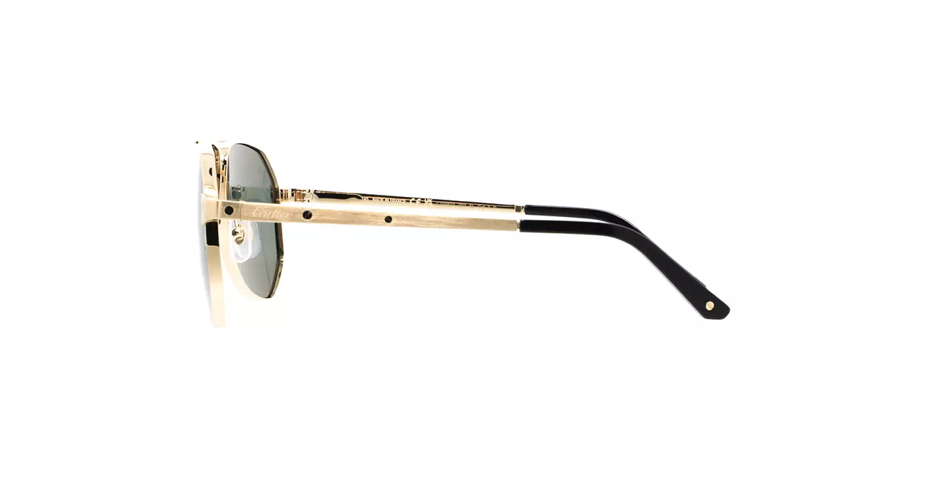 Cartier CT0461S 003 s60