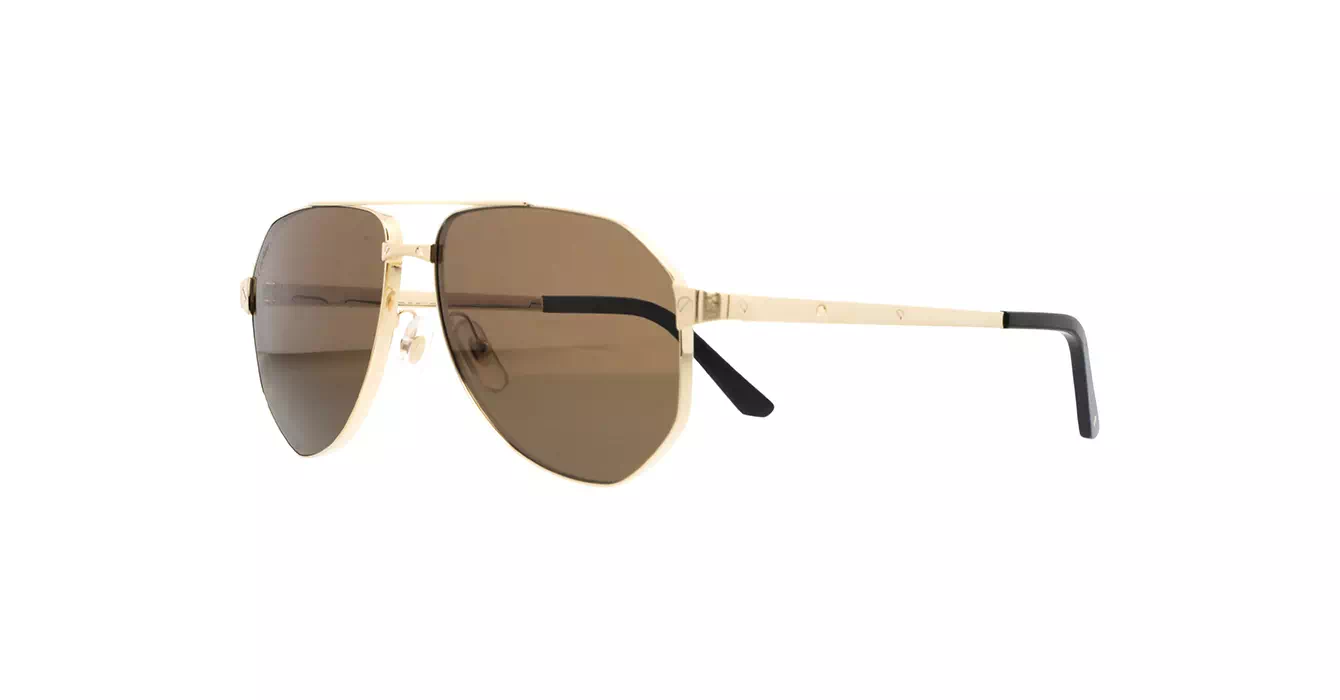 Cartier CT0461S 004 s60