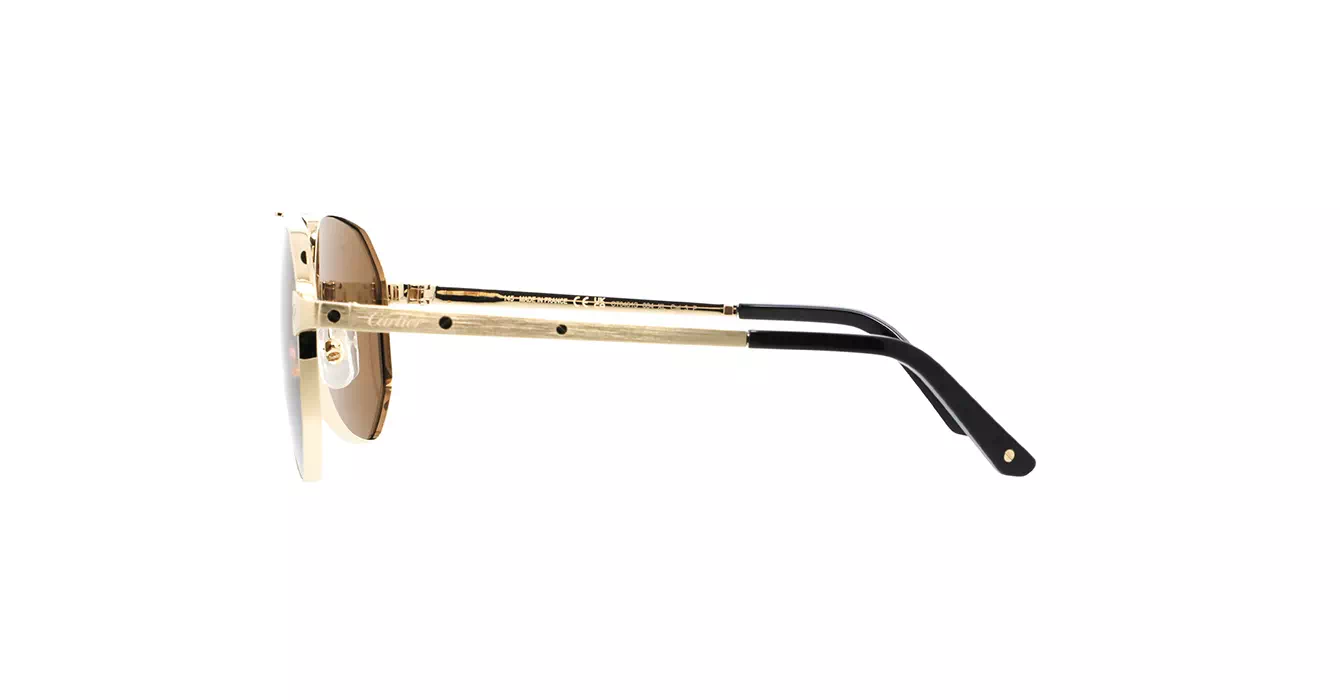 Cartier CT0461S 004 s60