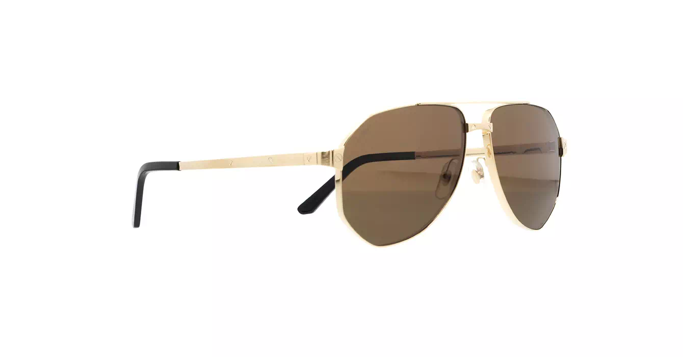 Cartier CT0461S 004 s60