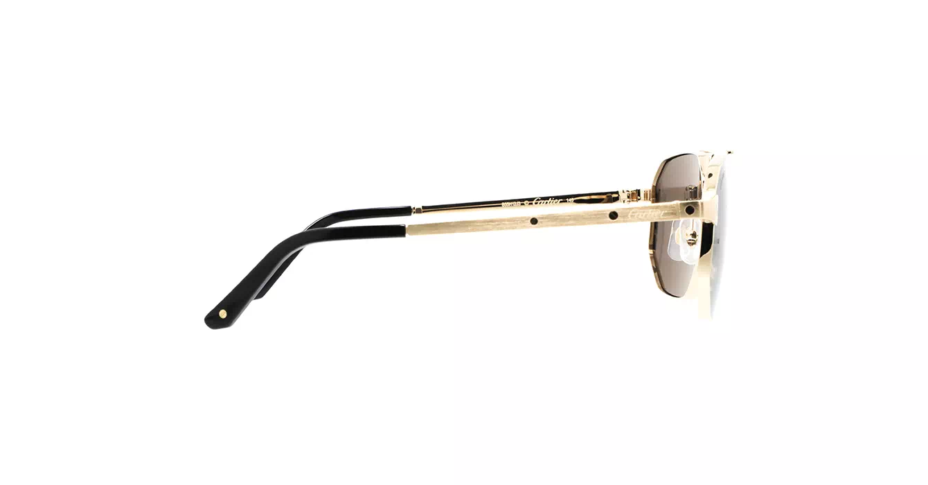 Cartier CT0462S 001 s60