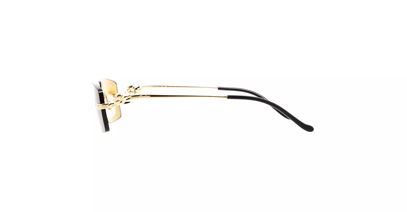 Cartier CT0430S 003 s58