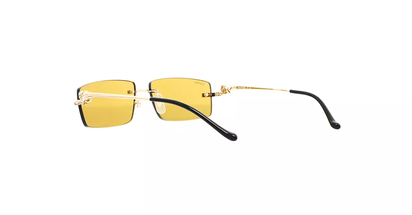 Cartier CT0430S 003 s58