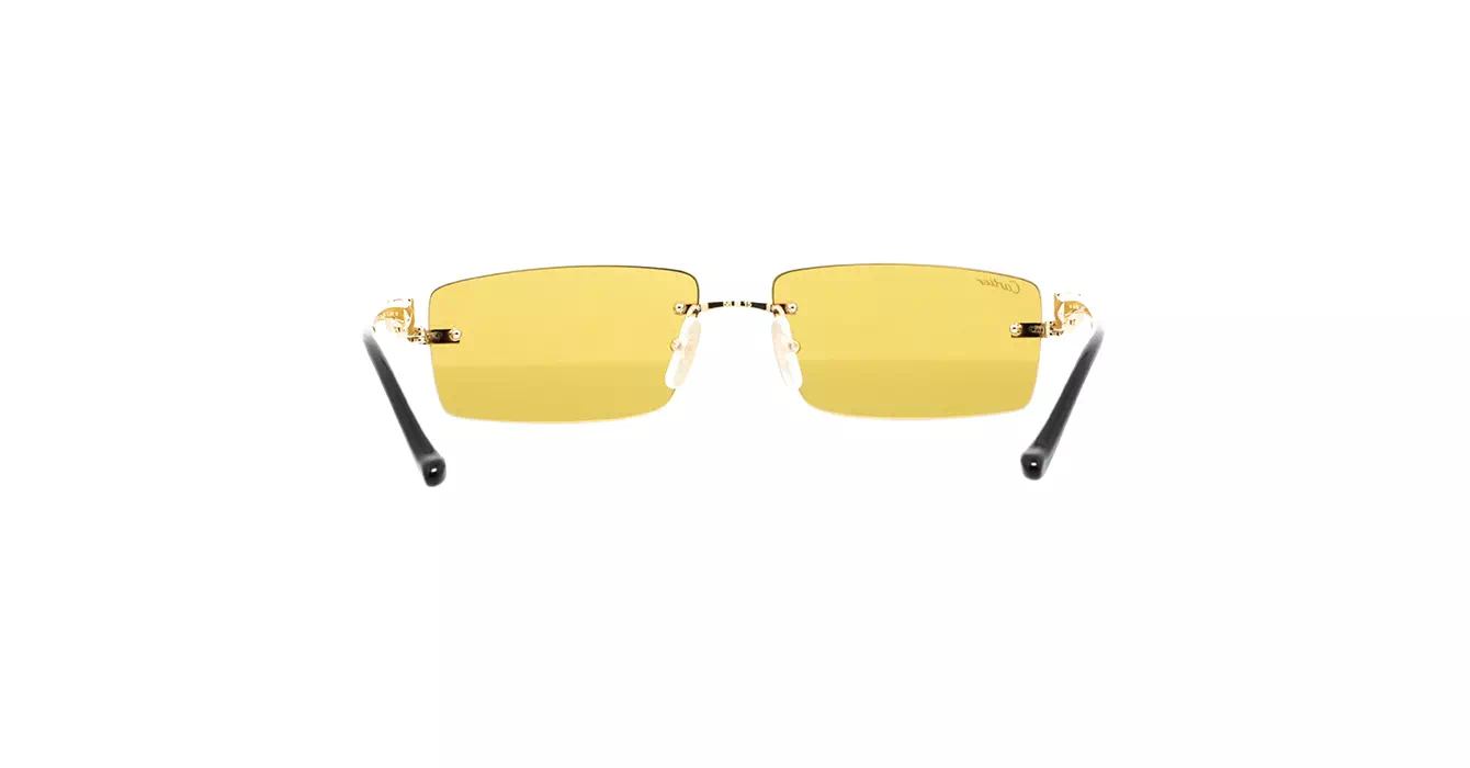 Cartier CT0430S 003 s58
