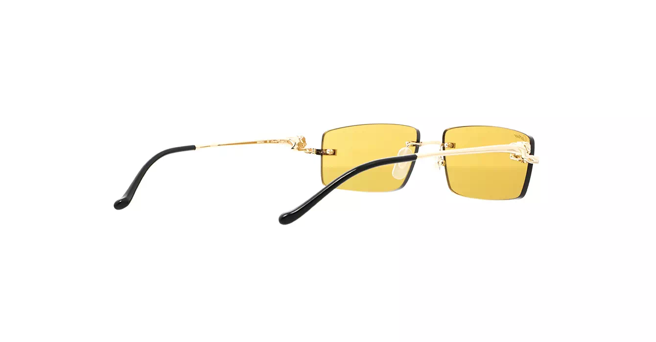 Cartier CT0430S 003 s58
