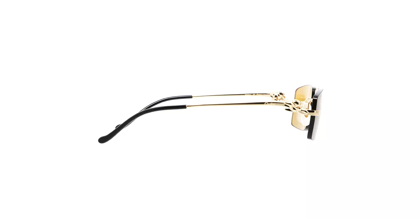 Cartier CT0430S 003 s58