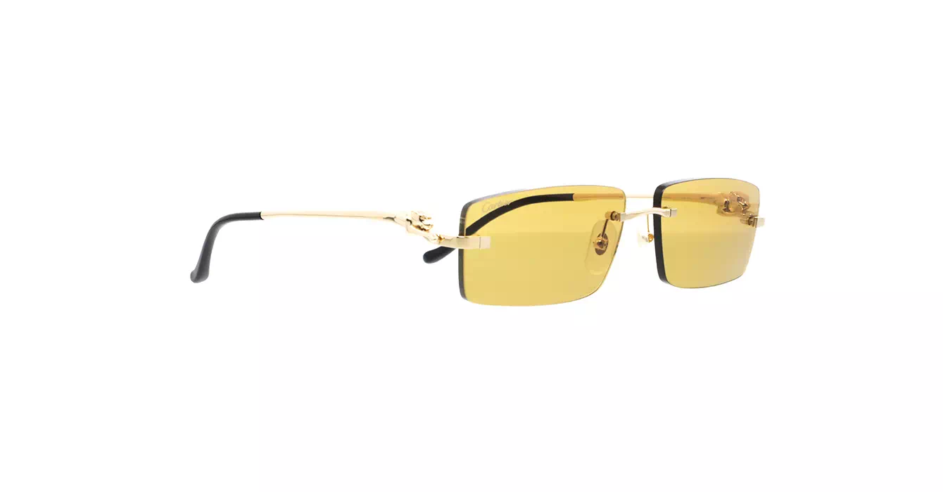 Cartier CT0430S 003 s58
