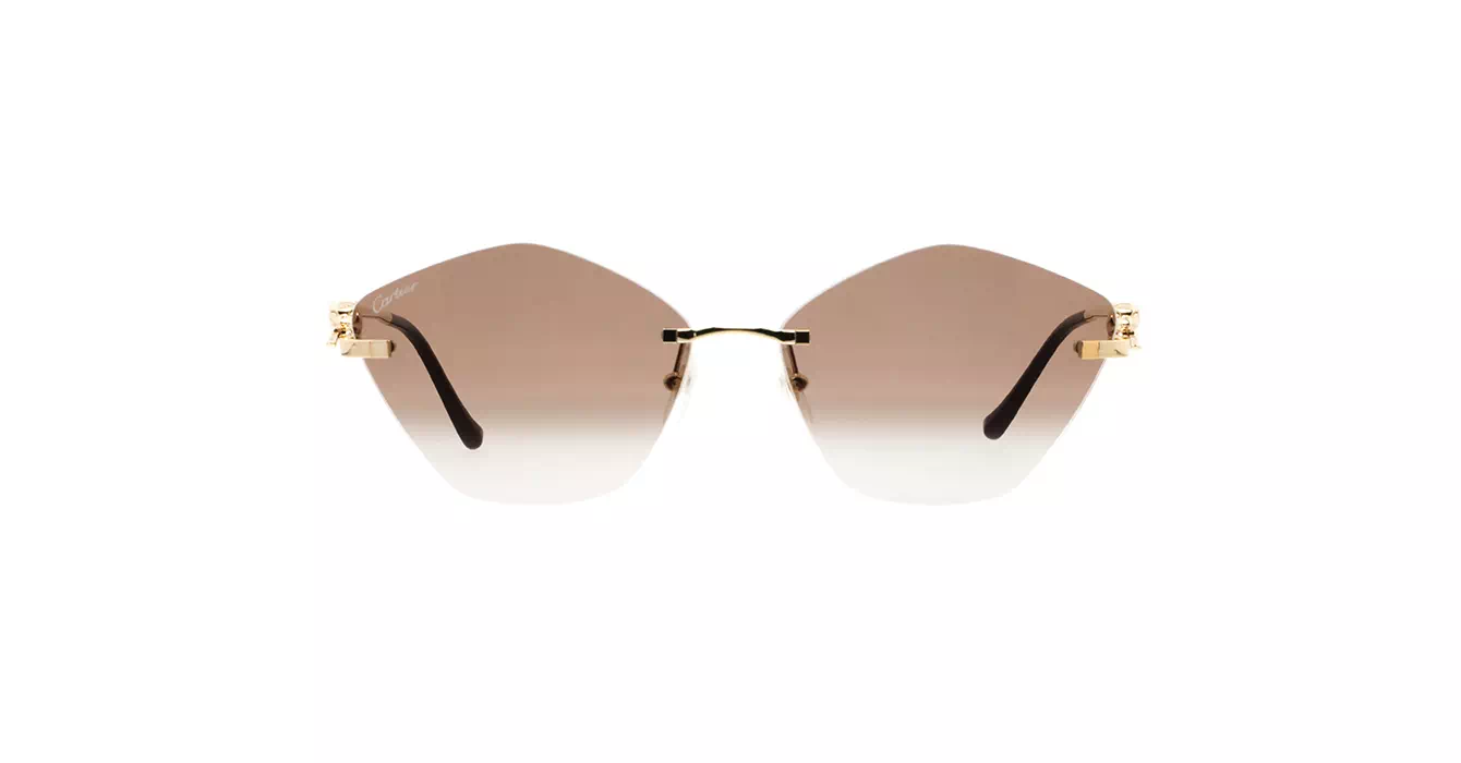 Cartier CT0429S 002 s61