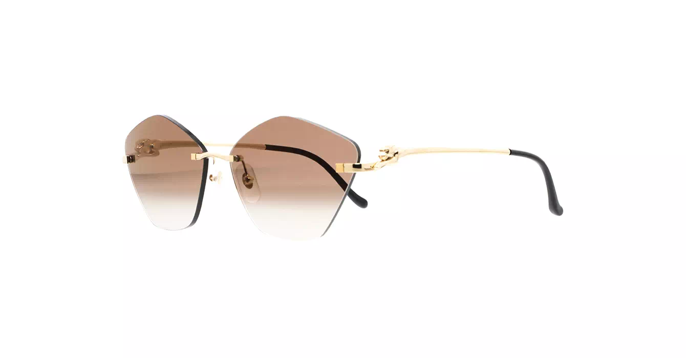 Cartier CT0429S 002 s61