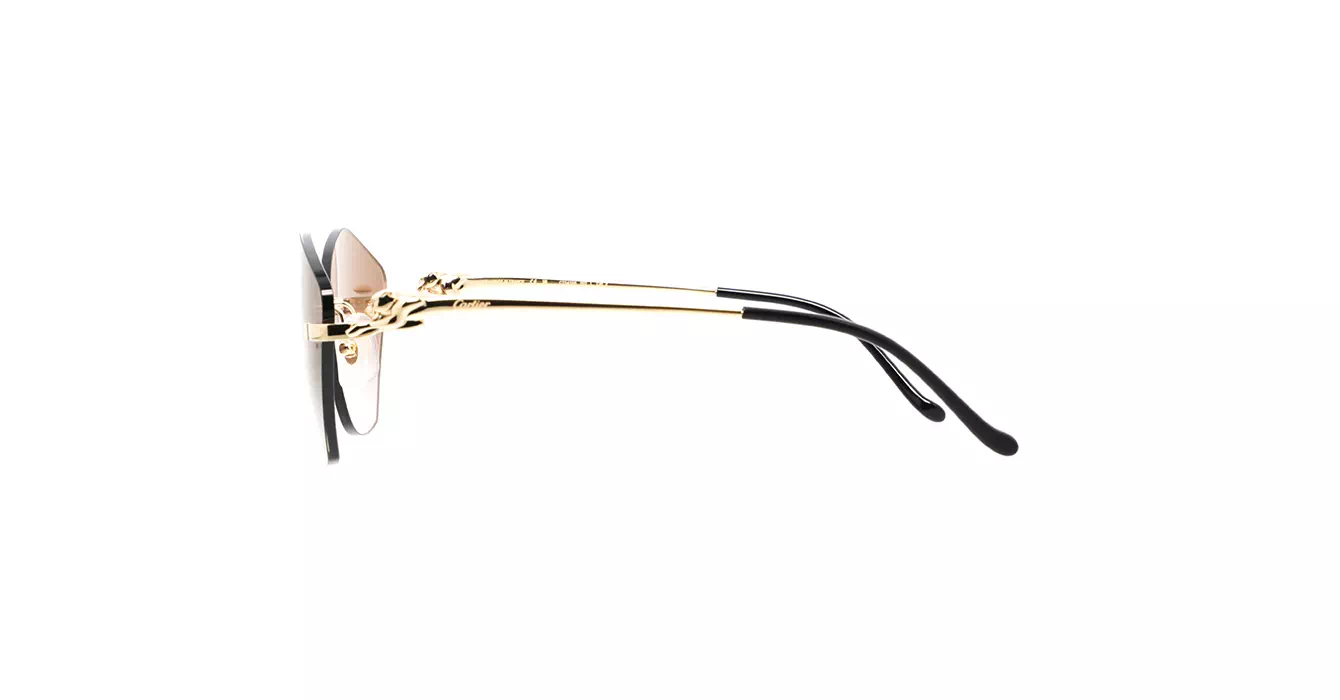 Cartier CT0429S 002 s61