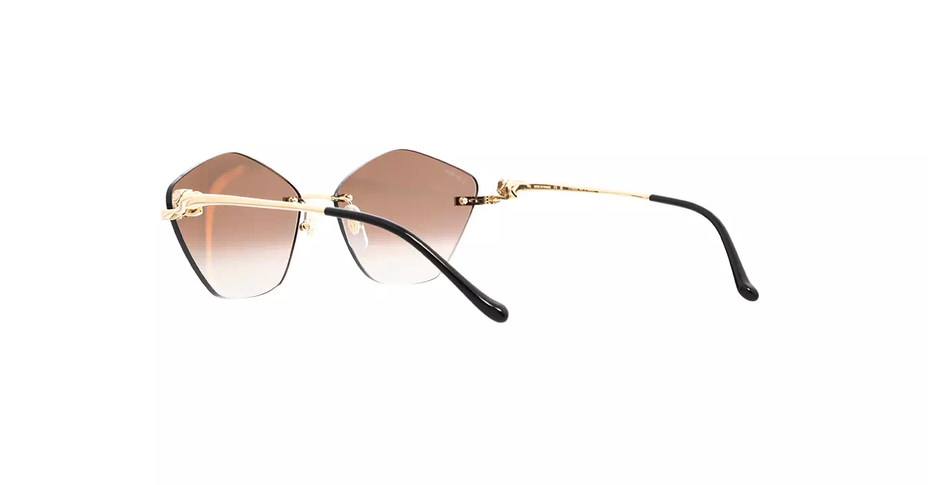 Cartier CT0429S 002 s61