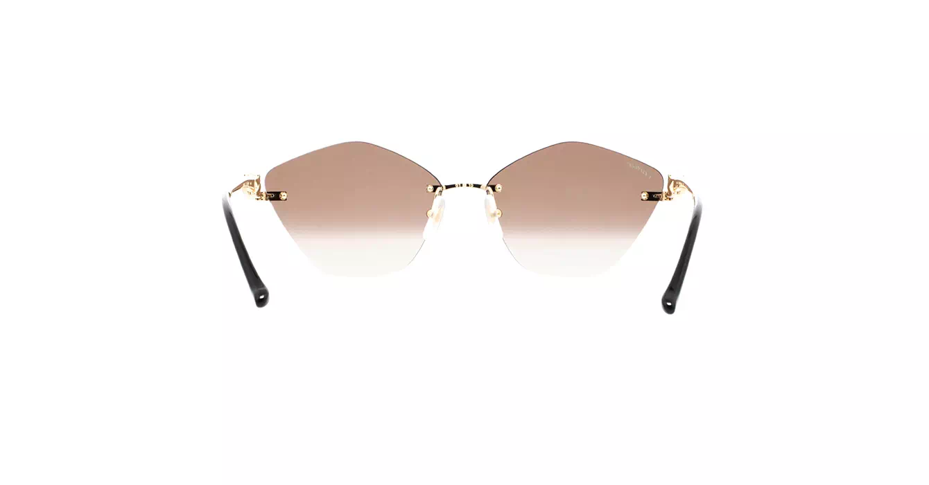 Cartier CT0429S 002 s61