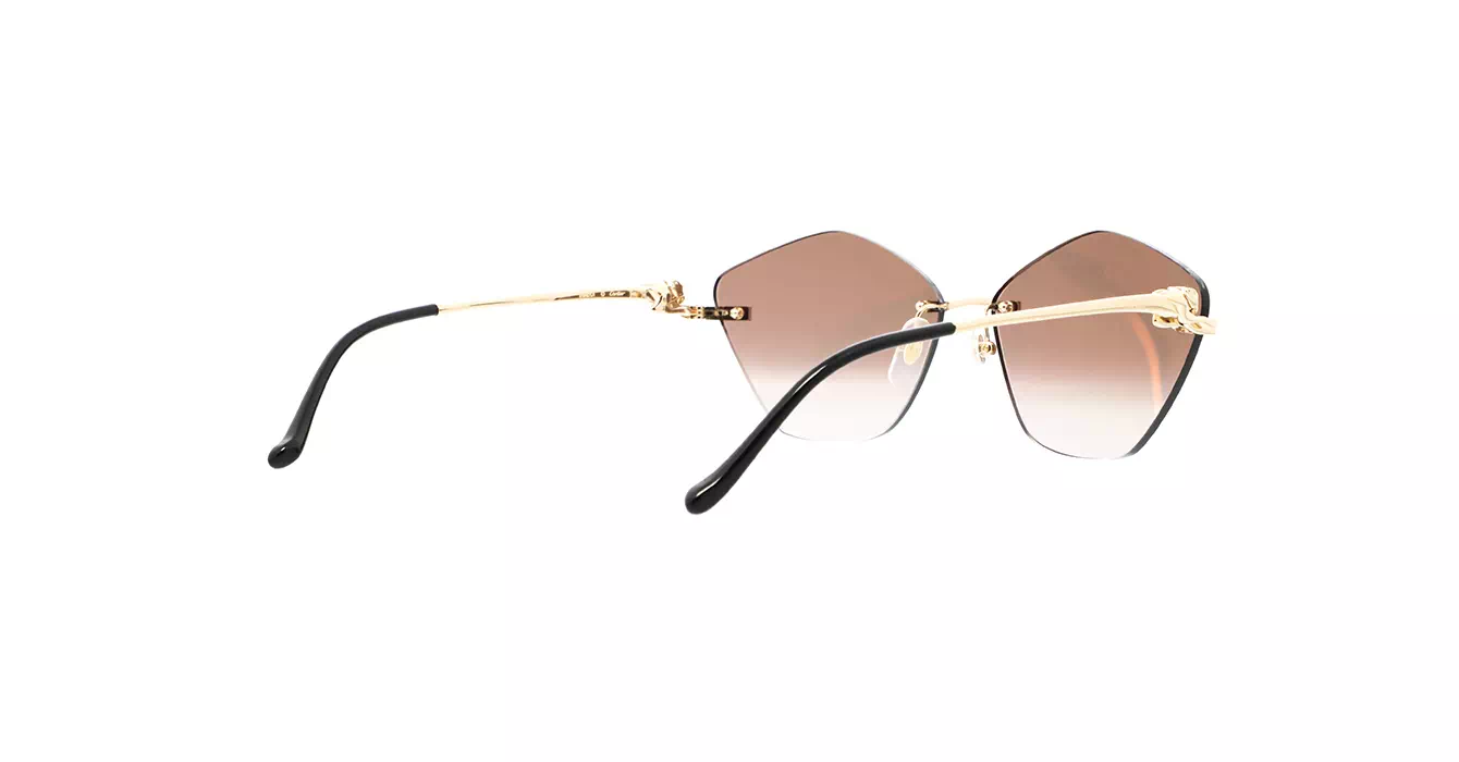 Cartier CT0429S 002 s61