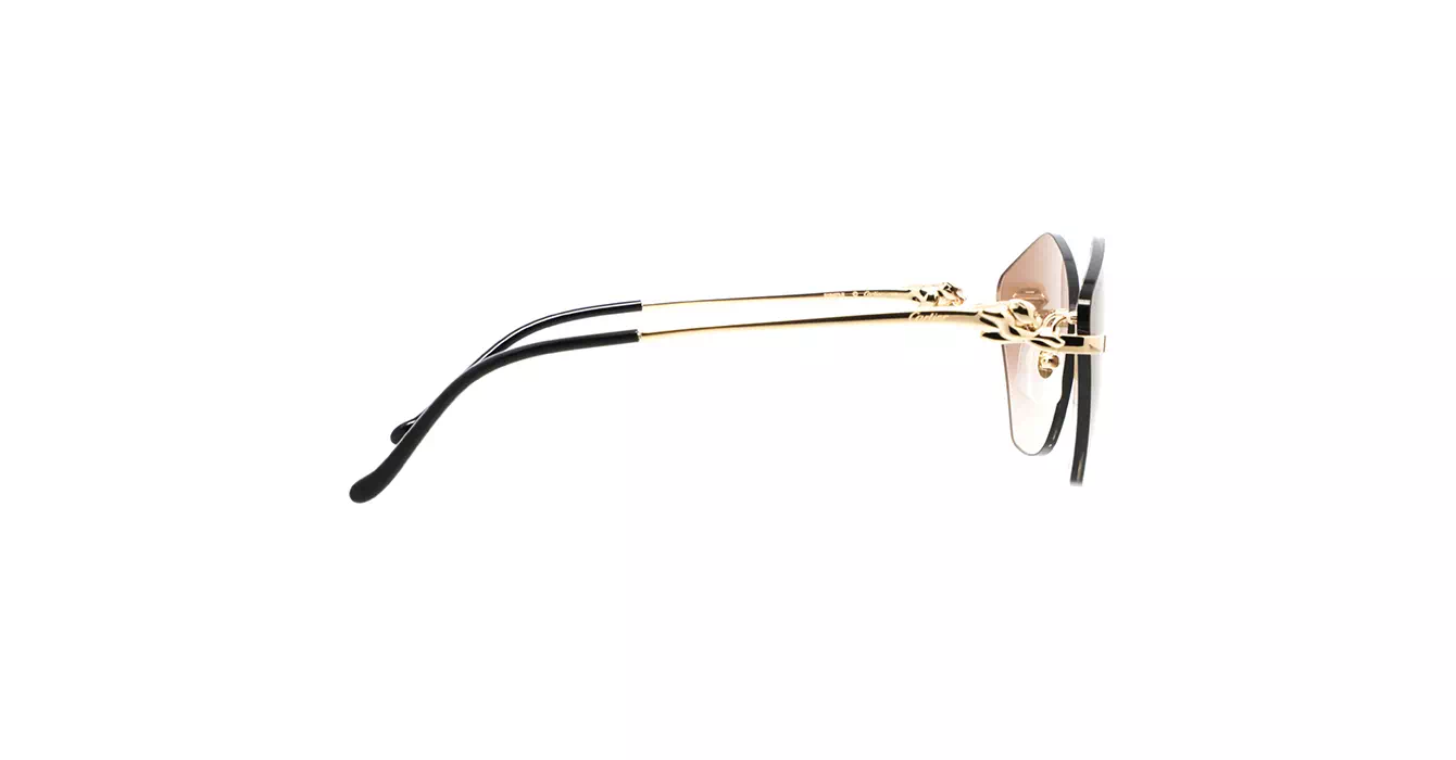 Cartier CT0429S 002 s61