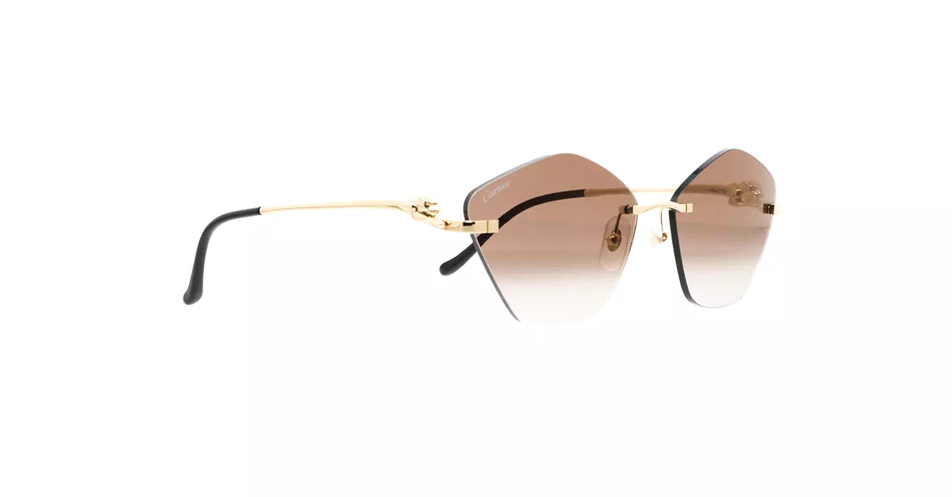 Cartier CT0429S 002 s61