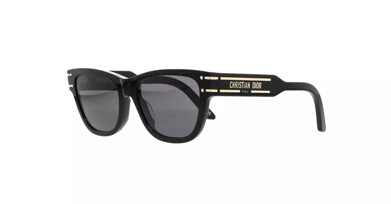 Dior Signature S6U CD40145U 10A0 s54