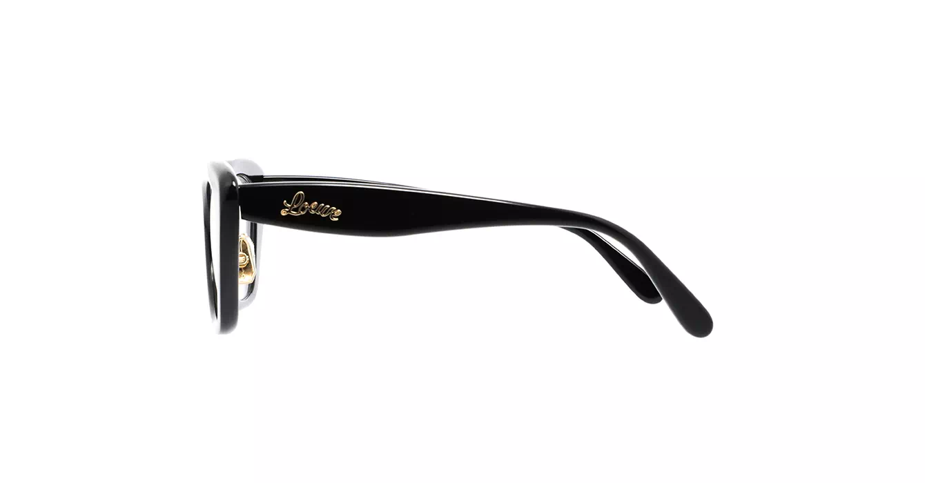 Loewe LW50067F 001 s52