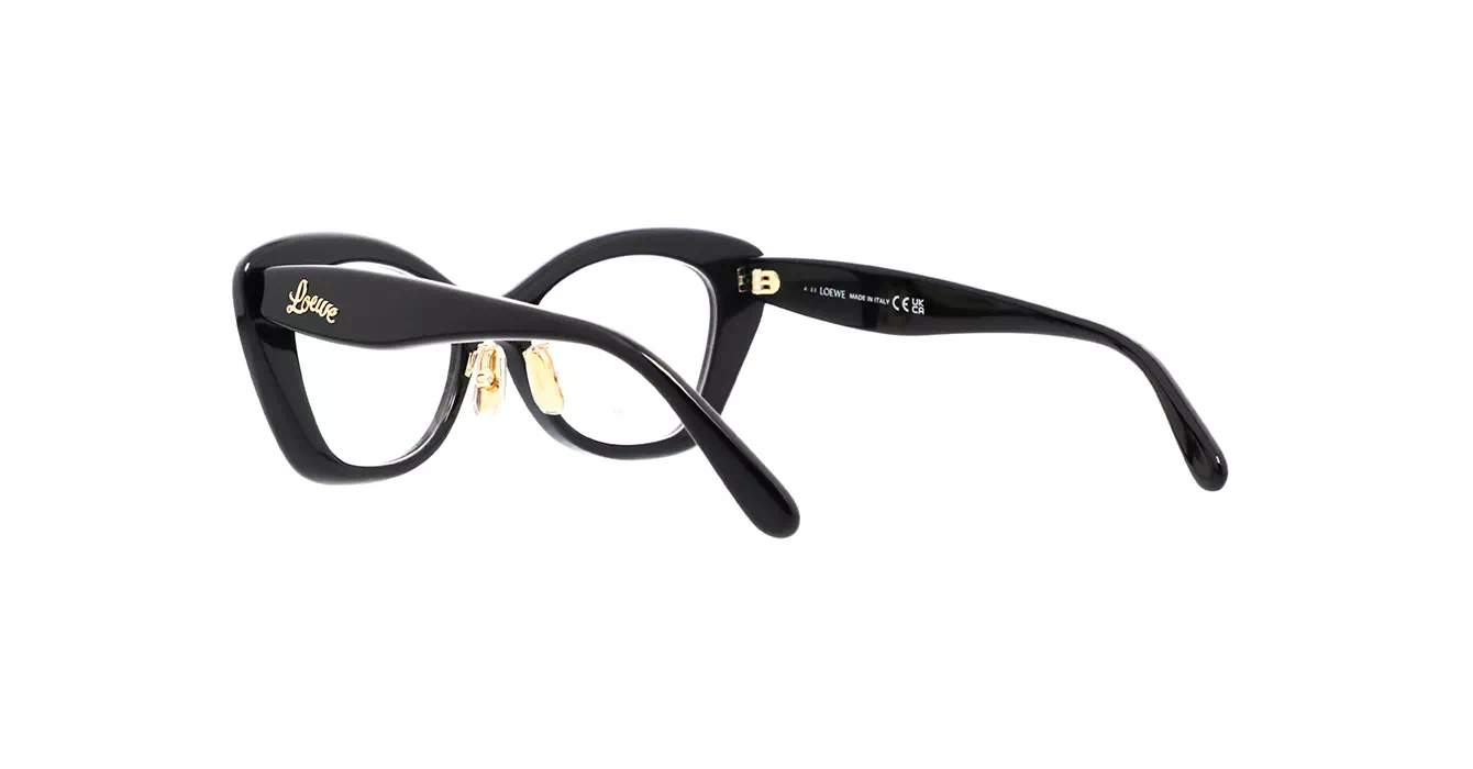 Loewe LW50067F 001 s52