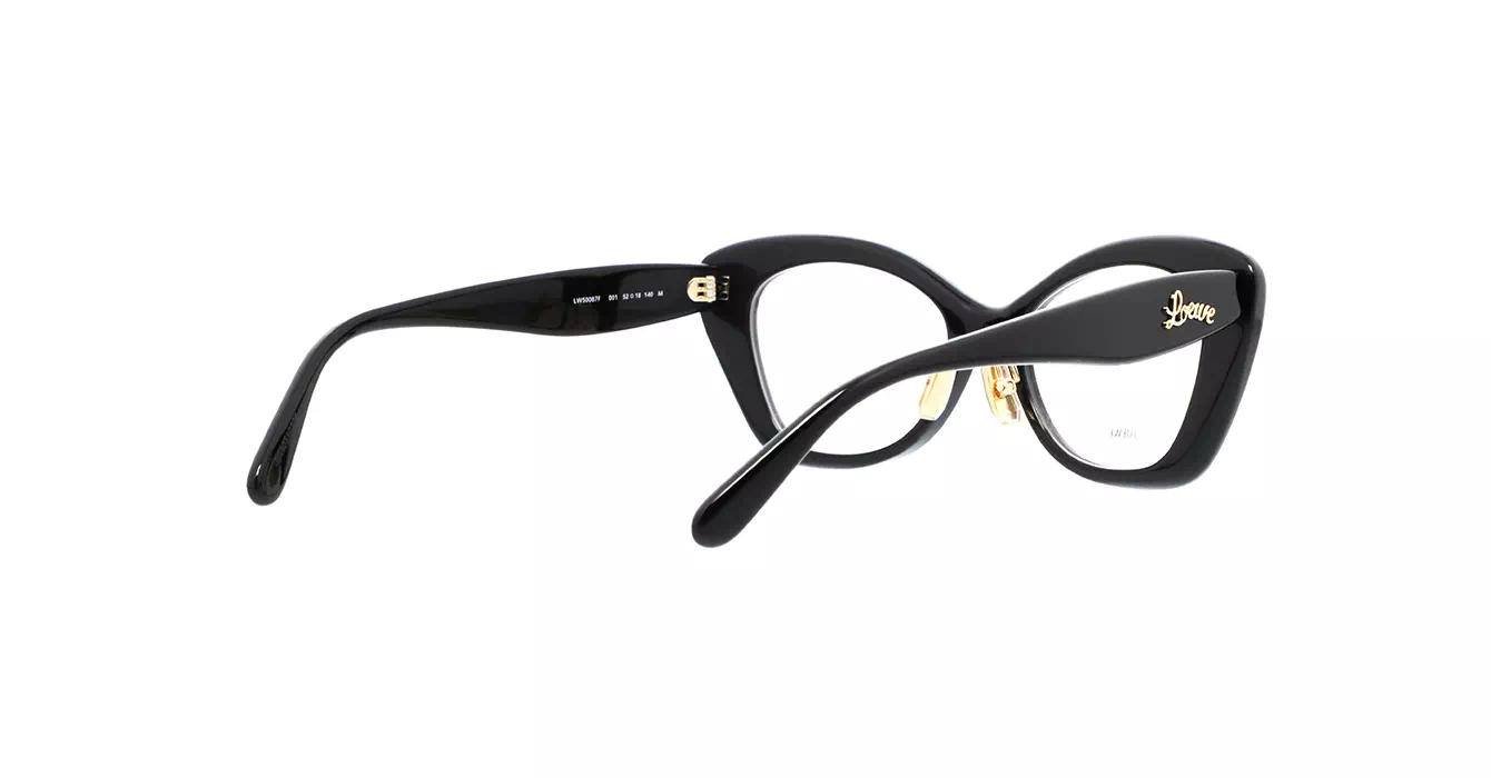 Loewe LW50067F 001 s52