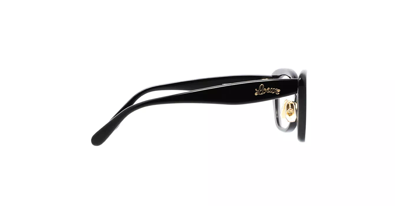 Loewe LW50067F 001 s52