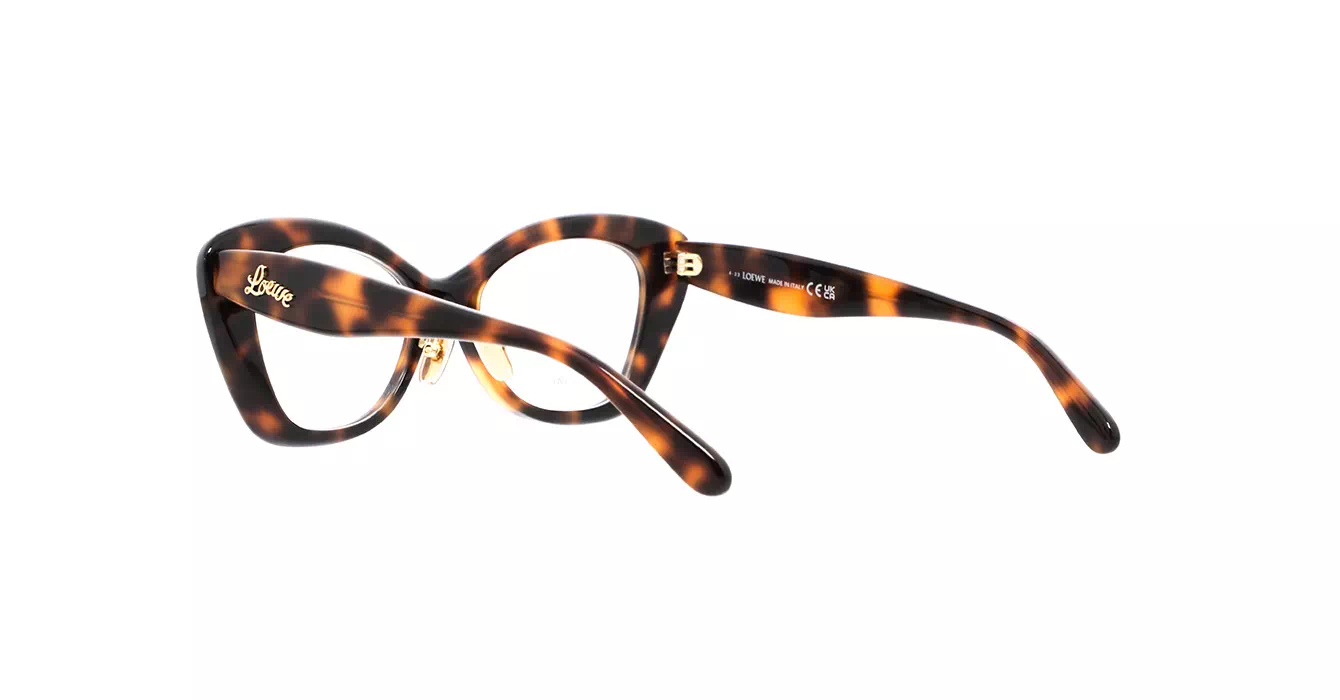 Loewe LW50067F 052 s52