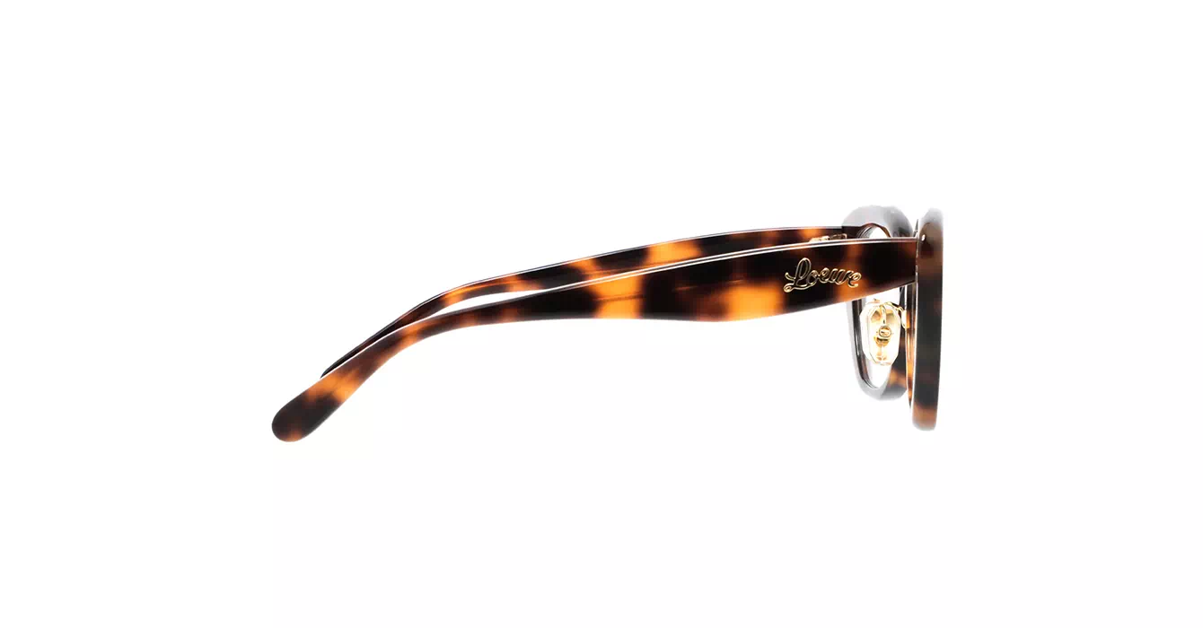 Loewe LW50067F 052 s52