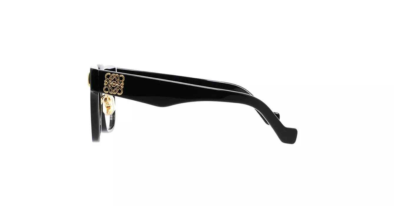 Loewe LW50069F 001 s51