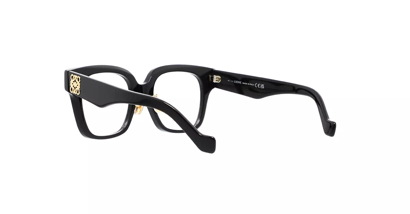 Loewe LW50069F 001 s51