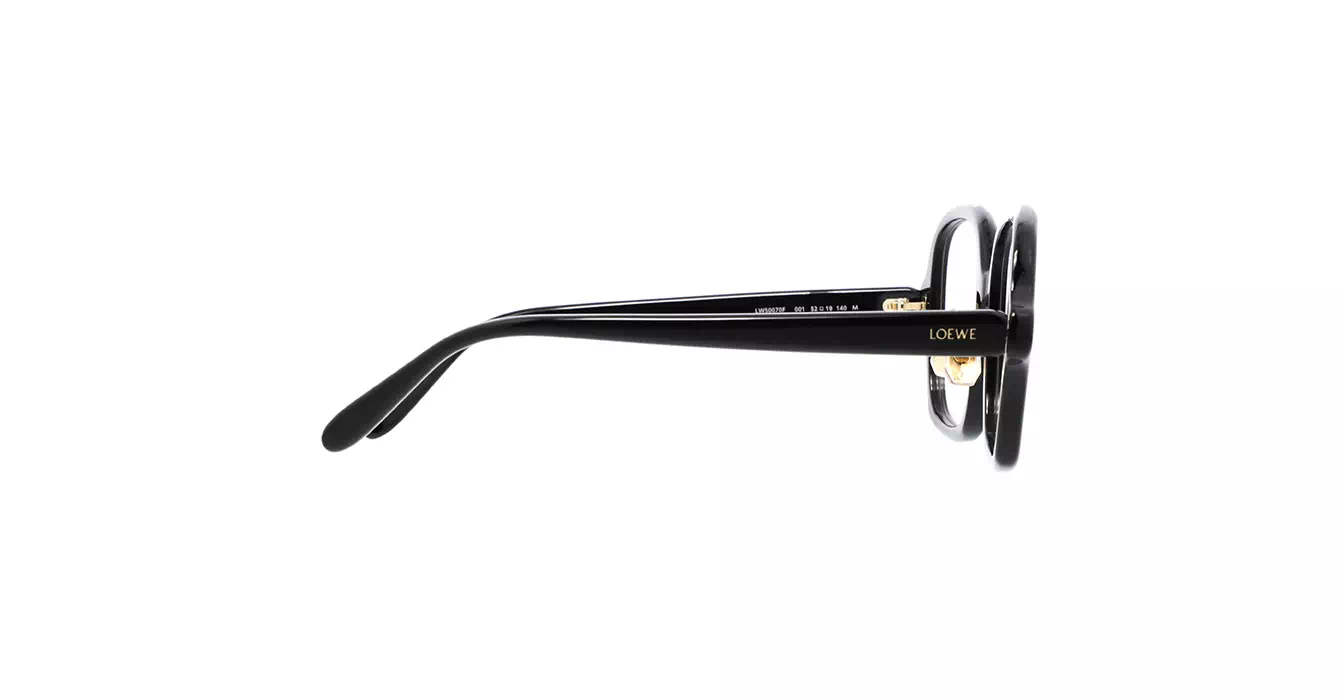Loewe LW50070F 001 s52