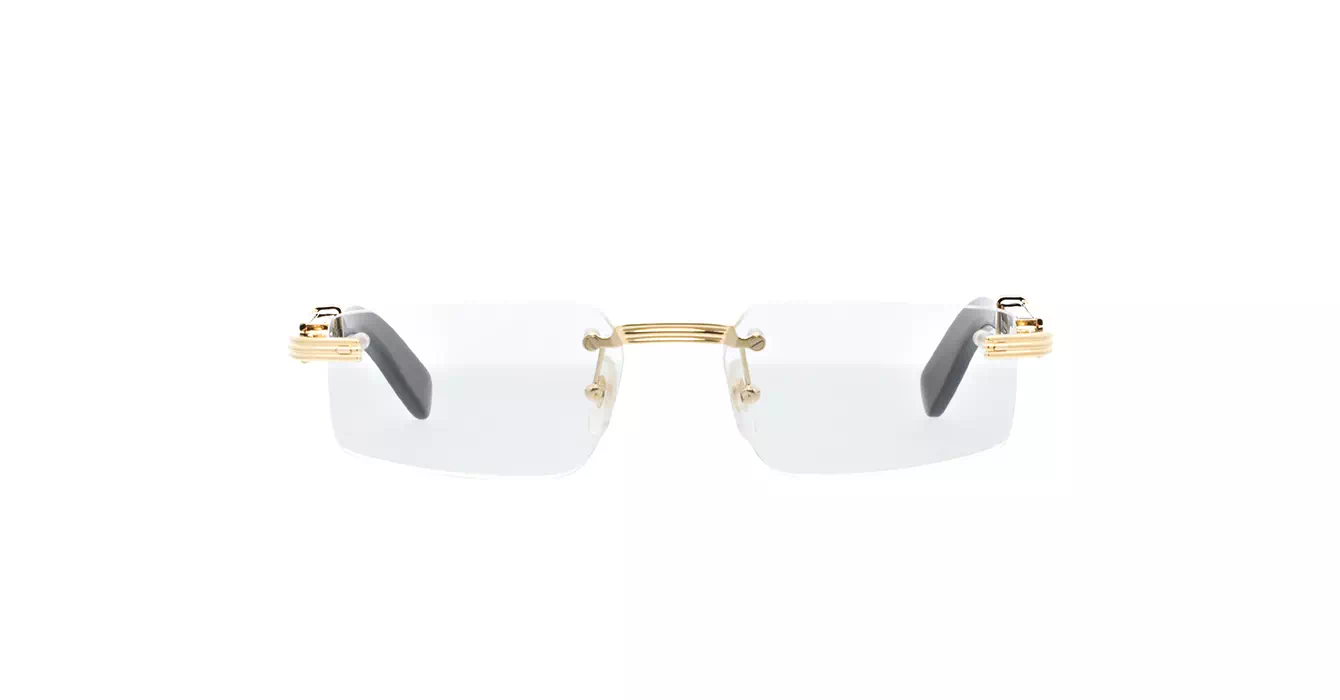Cartier CT0485O 001 s55 Horn