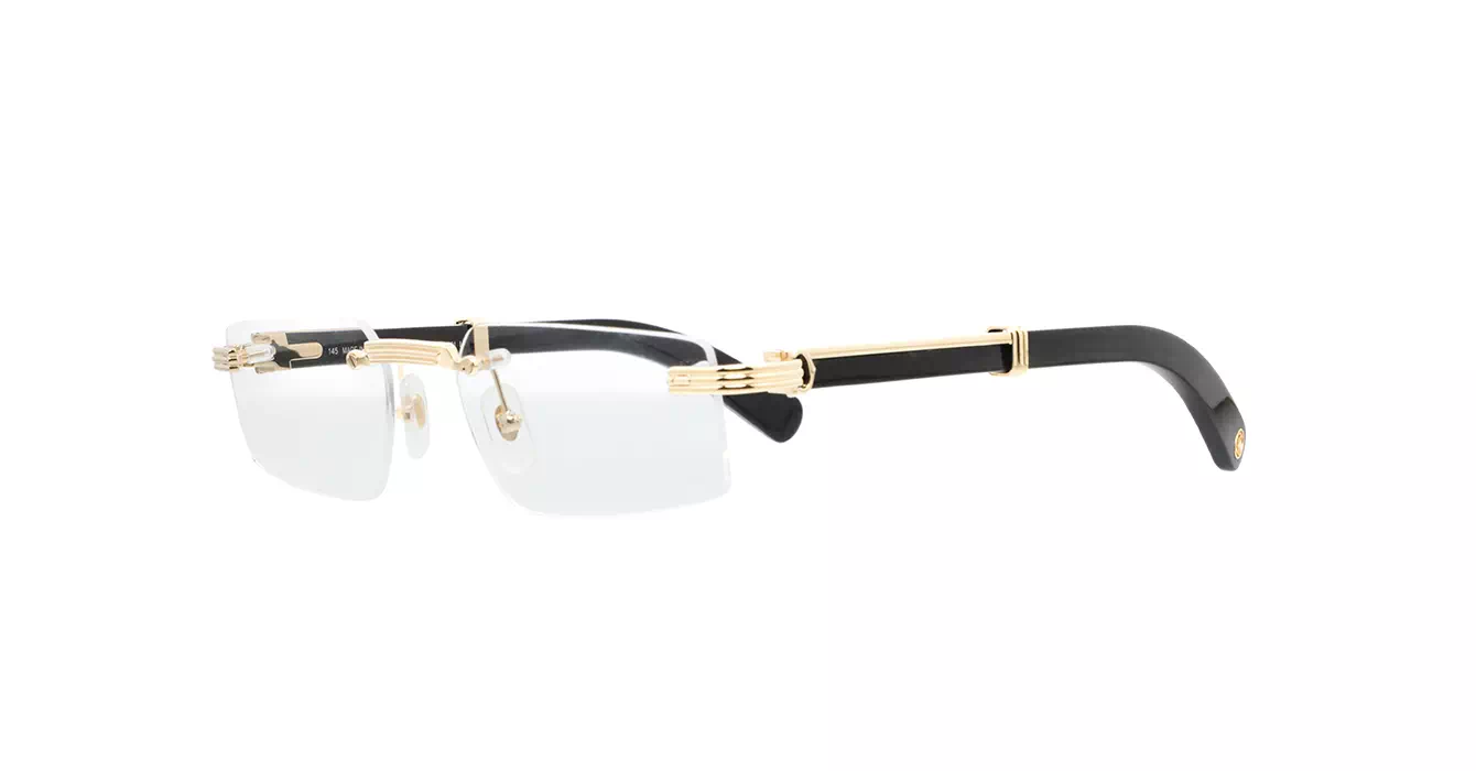 Cartier CT0485O 001 s55 Horn
