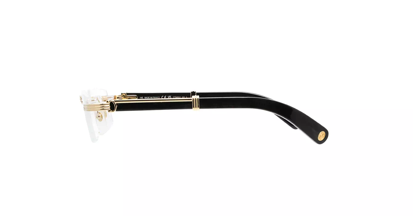 Cartier CT0485O 001 s55 Horn