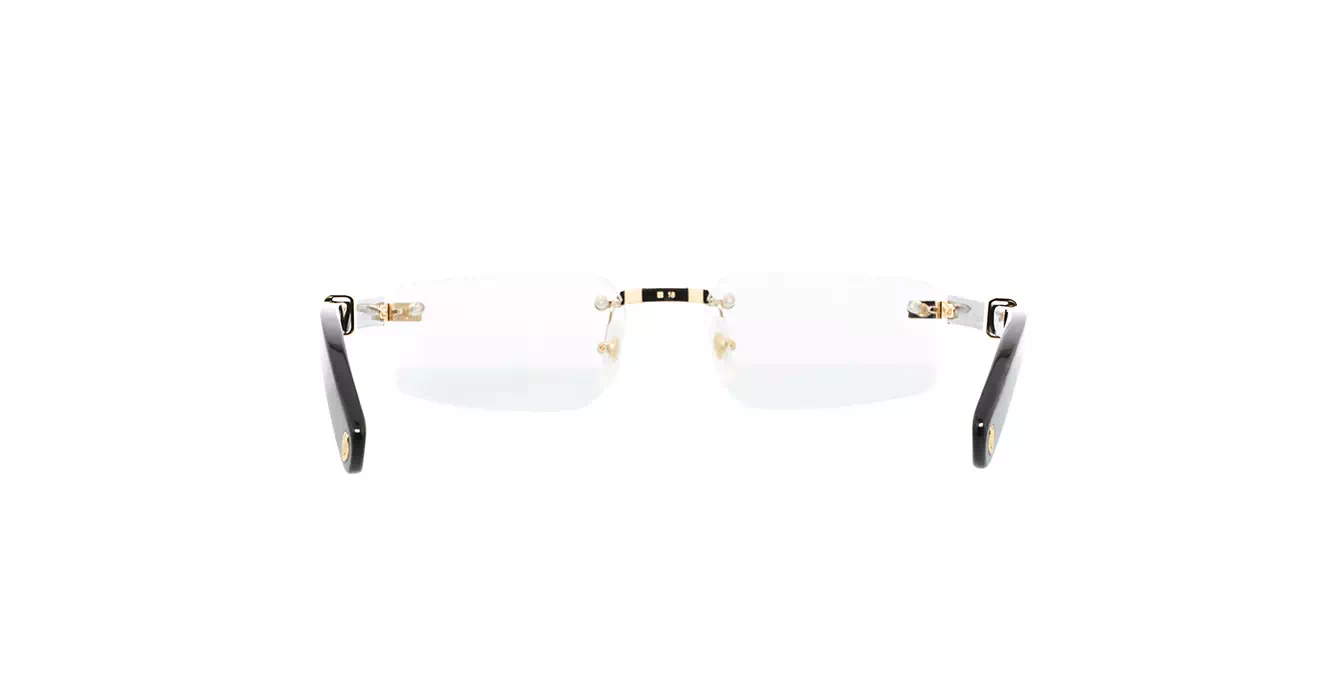 Cartier CT0485O 001 s55 Horn
