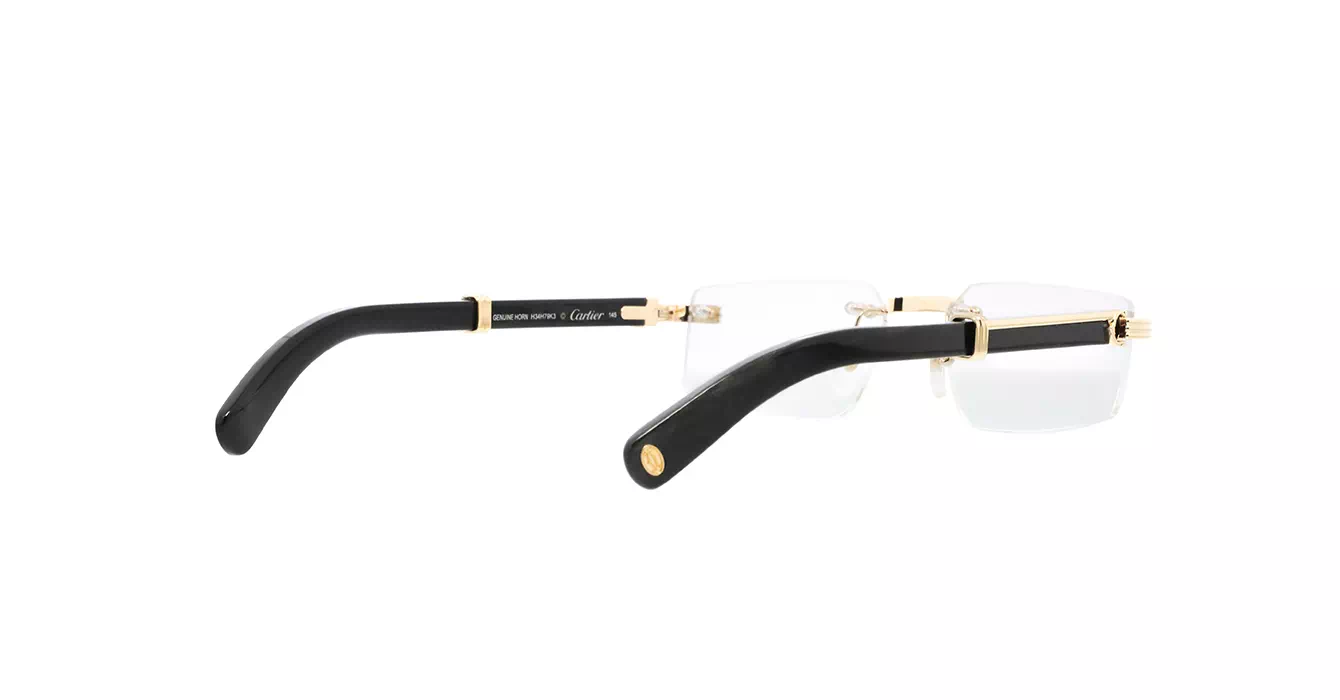 Cartier CT0485O 001 s55 Horn