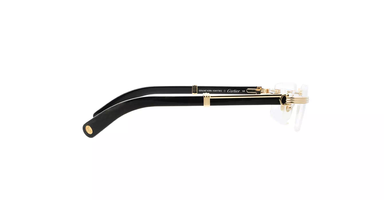 Cartier CT0485O 001 s55 Horn