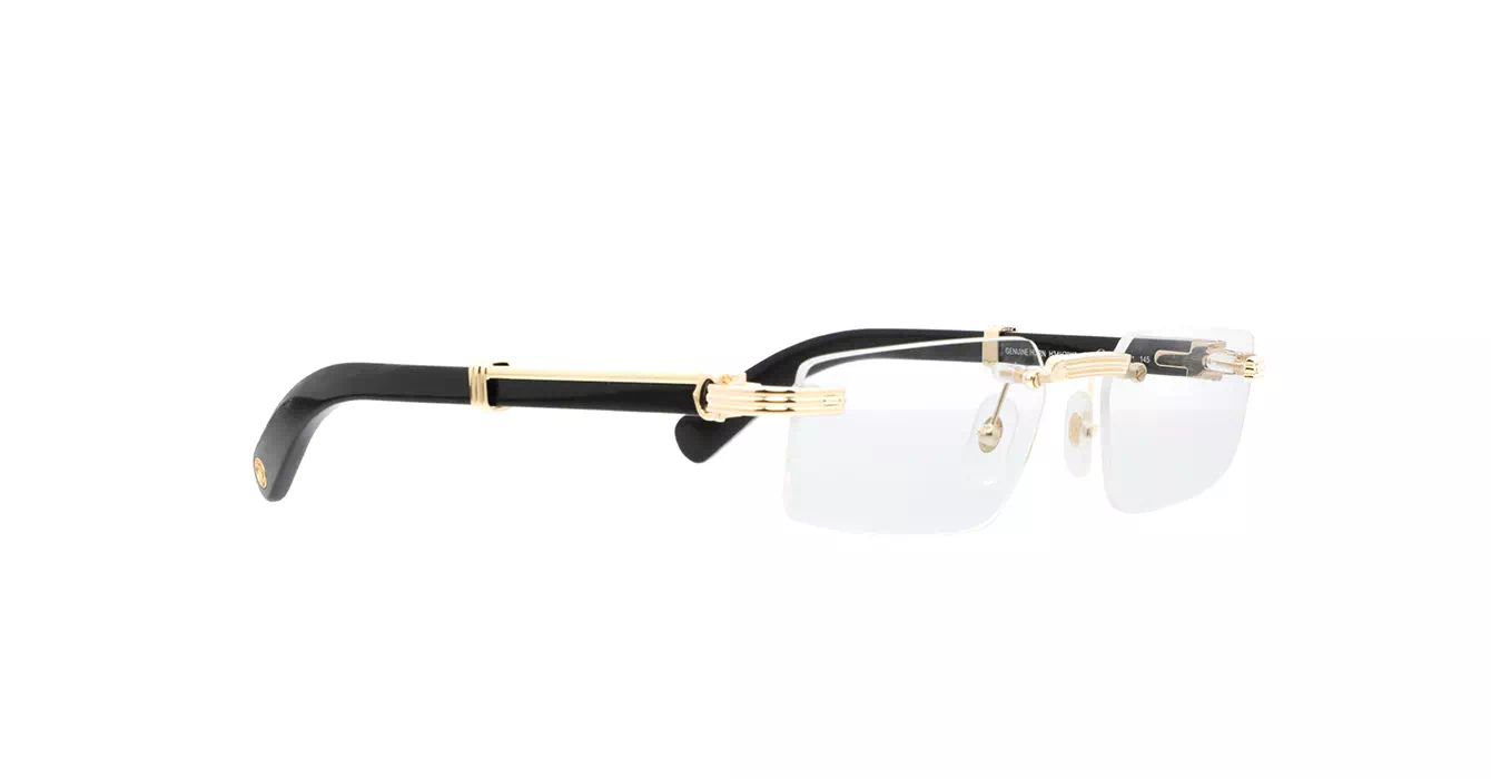 Cartier CT0485O 001 s55 Horn