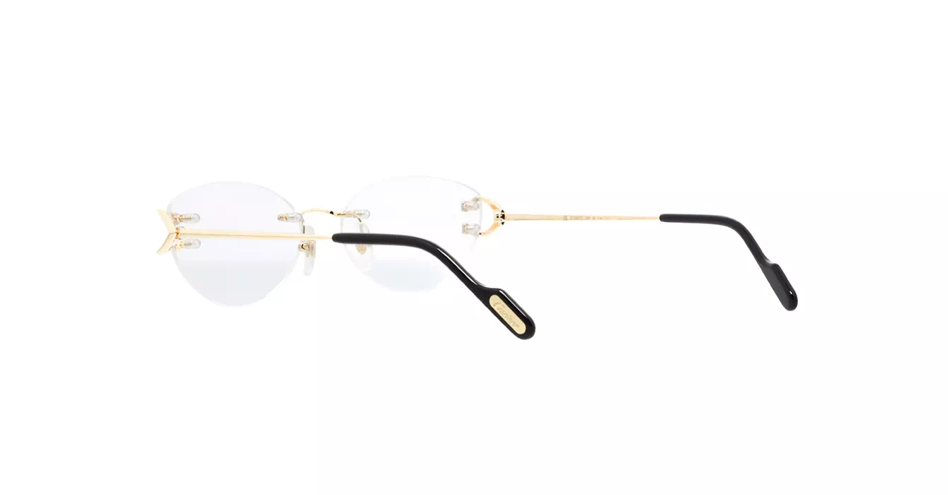 Cartier CT0487O 001 s57