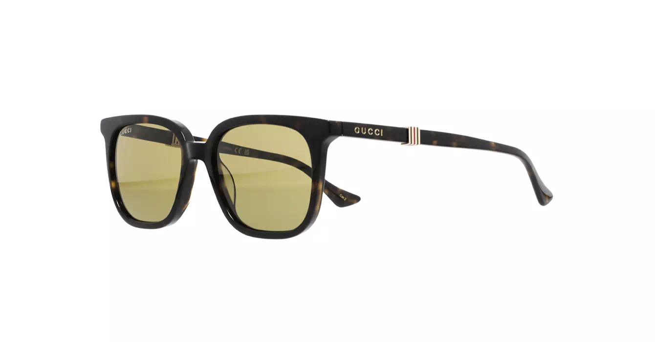 Gucci GG1493S 002 s54